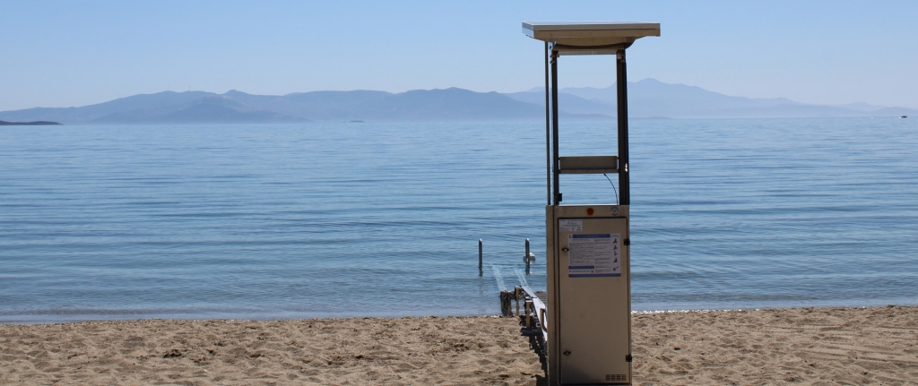 brexida-header