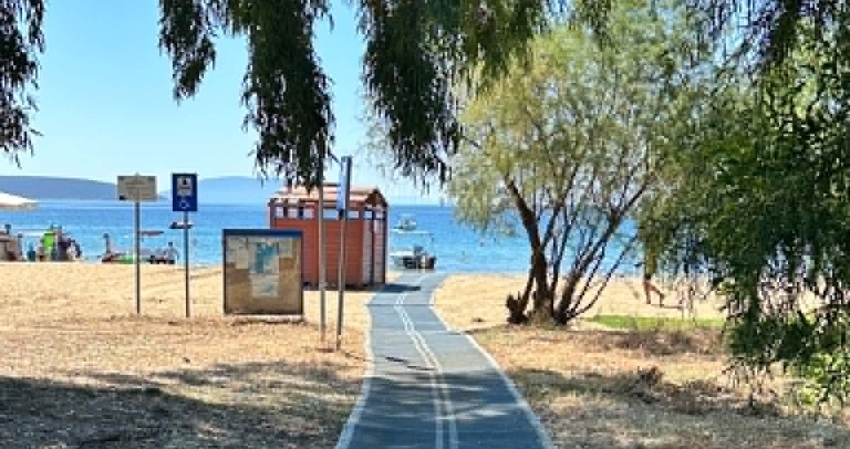 ΠΑΡΑΛΙΑ ΤΟΛΟΥ(ΨΙΛΗ ΑΜΜΟΣ)